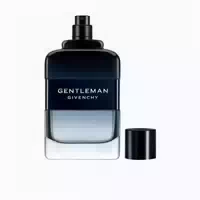 Givenchy Gentleman Intense Eau De Toilette 100ml 0,1 L
