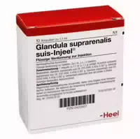 Glandula Suprarenalis Suis Injeel Ampullen