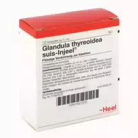 Glandula Thyreoidea Suis Injeel Ampullen 10 St Ampullen