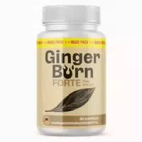 Ginger Burn Forte Kapseln | Pflanzlich | Rein 60 st