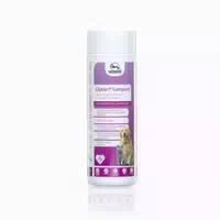 Glykan Compact Tabletten – Grünlippmuschel Extrakt 400 G
