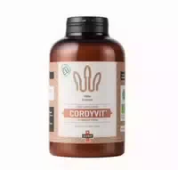 Goba Bio Cordyvit Cordyceps Pulver