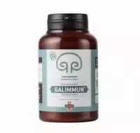 Goba Bio Galimmun Reishi Pulver
