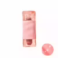 Gogo Tales Glossy Mirror Lip Gloss 2 6g G03