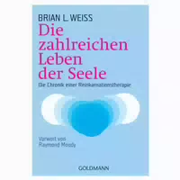 Die Zahlreichen Leben Der Seele