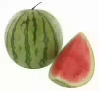 Goldmarie Wassermelonen Mini Kernarm