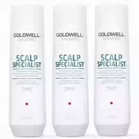 Goldwell Dualsenses Scalp Specialist Anti Dandruff Shampoo Set