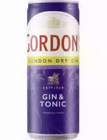 Gordons Gin & Tonic Einweg