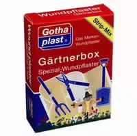 Gothaplast Gärtnerbox Pflaster