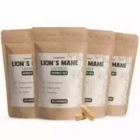 Shroomy Lions Mane Extrakt Kapseln 240 st