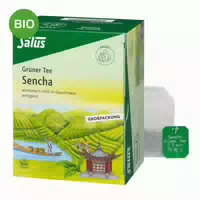 Grã¼ner Tee Bio Salus Filterbeutel Grosspackung