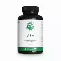 Green Naturals Msm 2100 mg Methylsulfonylmethan Pro Tagesdosis Vegan