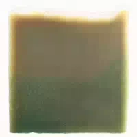 Greendoor Naturseife Waschnuss 100 g