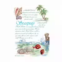 Fresh Scents Duft Sachets Seaspray aus Parfümierter Tonerde