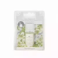 Greenleaf Raumduft Hydrangea Duftöl Essenz Duftkonzentrat für Duftlampe