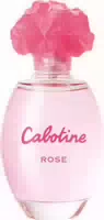 100 ml