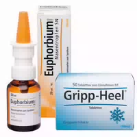Gripp Heel Tabletten & Euphorbium Comp Sn Spray Set 1 Sparset