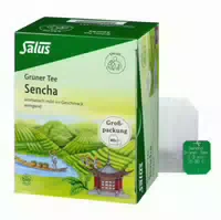 Grüner Tee Bio Salus Filterbeutel Grosspackung