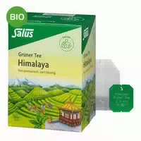 Salus Grüner Tee Entkoffeiniert Bio Filterbeutel