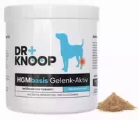 Grünlippmuschelpulver Speziell Für Kniescheibenband Und Wachstumsschub Glucosamin, Hgm