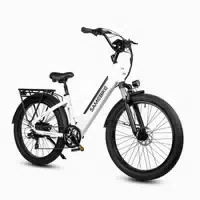 Samebike Rs A01 Plus Elektro Stadtfahrrad 48v 14ah 1 st