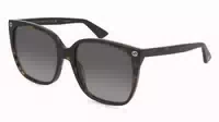 Gucci Gg0022s