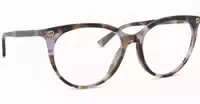 Gucci Gg0093o 009 53