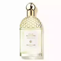 Guerlain Aqua Allegoria Herba Fresca Eau De Toilette