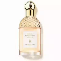 Guerlain Aqua Allegoria Pamplelune Eau De Toilette Aqua Allegoria Pamplelune 125ml
