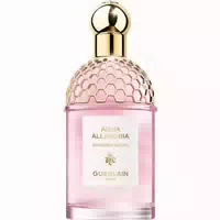 Guerlain Aqua Allegoria Granada Salvia Eau De Toilette Aqua Allegoria Granada Salvia Edt 75ml