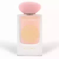 Gulf Orchid Eau De Parfum Musk Kollektion Angel Musk