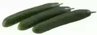 Gurken