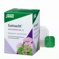 Salus Gutnacht Kräutertee Nr 33 15 St Filterbeutel