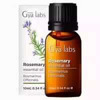 Gya Labs Reines Rosmarinöl für Haarwachstum und Trockene Kopfhaut 10 ml