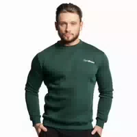 Sweatshirt Herren Regular mit Rundhalsausschnitt in Pine