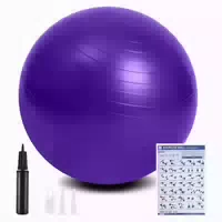Gymnastikball 65cm Antiburst Fußpumpe Yoga Pilates Core 55cm 1 st