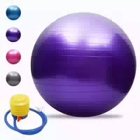 Gymnastikball Antiburst Verdickt Balance Pilates Violett 65c 1 st