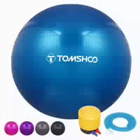 Gymnastikball 65cm Fußpumpe Antiburst Pilates Yoga Core 65cm 1 st