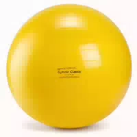 Gymnic Physioball