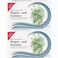 H&s Arzneitee Nr 51 Magen und Darmtee