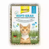 Gimpet Soft Gras Für Katzen 100 G