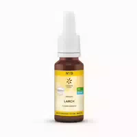 Bachblüten No 20 Mimulus Bio 20 ml
