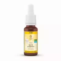 20 ml