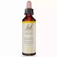 Bachblüten Original Cerato Nr 5 20 ml Tropfen
