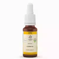 20 ml