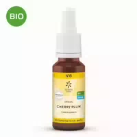Bachblüten No 6 Cherry Plum Bio 20 ml