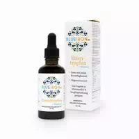 Blue Iron Eisentropfen 50 Ml Tropfen