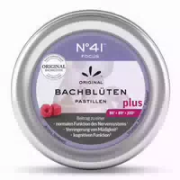 Konzentration Bachblã¼tenpastillen Nach Doktor Bach