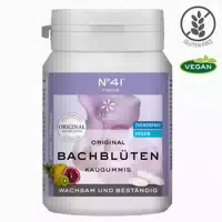 Original Bachblüten Kaugummi No 41 Focus 40 st Kaugummi