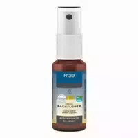 Original Bachblüten Liquid Spray No 39 für Alle Fälle 20 ml Spray